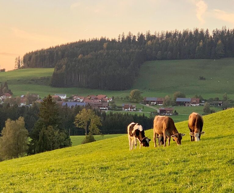 Posted on september 2025