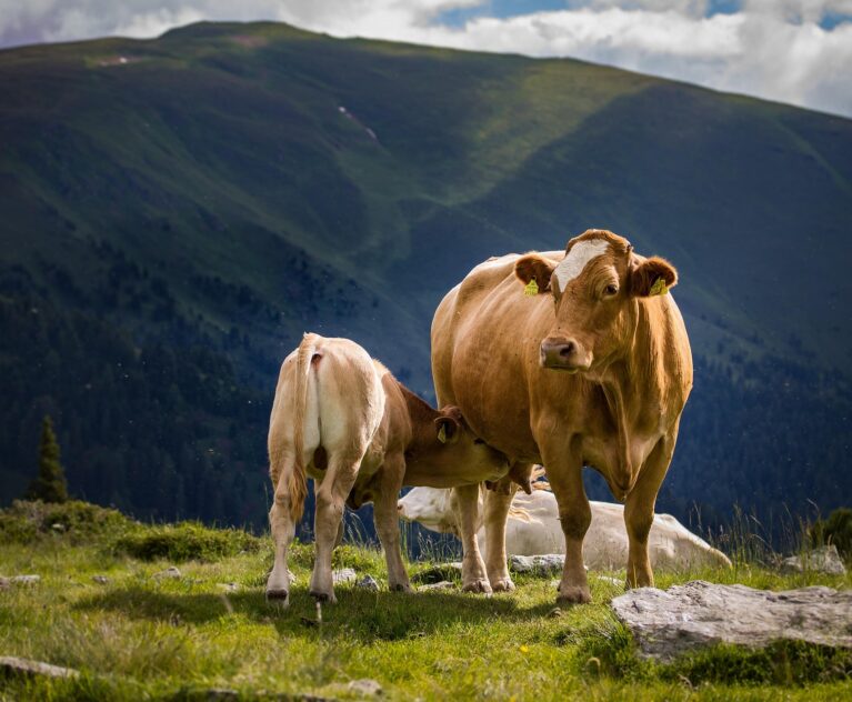 Another text long title can go here to reflect the post width